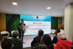 Kemenko Marves pastikan energi terbarukan di daerah 3T