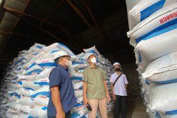 Pupuk subsidi ada 1,32 juta ton untuk kebutuhan musim tanam Oktober-Maret