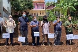 PT Jamkrindo optimalkan kontribusi sektor pertanian Garut