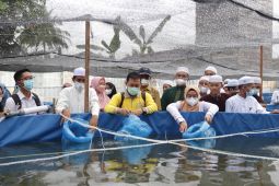 Dukung usaha perikanan pesantren, Adaro tebar puluhan ribu benih Nila