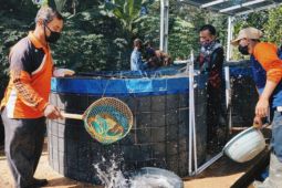 Secercah harapan lewat program Perisakti Pertamina