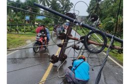 Pohon tumbang rusak jaringan  listrik di Gunungsitoli