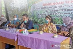 Disbun Kaltim gelar bimtek pengolahan lada  di Berau