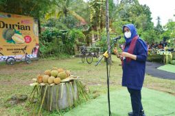 Musim panen, warga Songgon gelar Banyuwangi Festival Durian