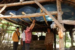 Instalasi Biogas Alternatif