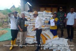 Petani Jagung Dompu optimistis panen Jagung bisa maksimal