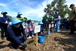 Pemprov Sulteng  gencar tanam magrove kembalikan ekosistem laut