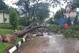 Hujan deras akibatkan 25 titik bencana di Kota Bogor