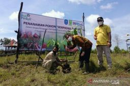 Gandeng BFS, PLN Babel tanam 2.000 pohon di sepadan Sungai Upang