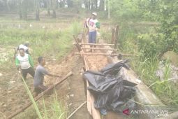 Petani Mukomuko tunggu penyaluran anggaran rehabilitasi irigasi rusak