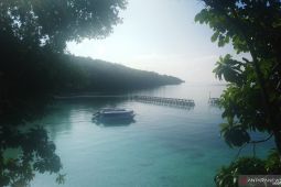 Pariwisata Berau berkontribusi 9,84 persen ke PAD