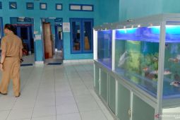 Mukomuko manfaatkan bangunan "Hatchery" untuk penjinakan ikan mikih