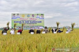 Sumut kawal Perda Perlindungan Lahan antisipasi  alih fungsi lahan
