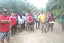 Puluhan buruh perempuan tutup jalan perusahaan di Mukomuko