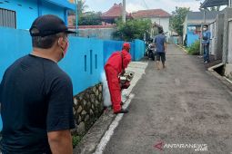 Dinkes Cianjur selidiki adanya puluhan warga terserang chikungunya