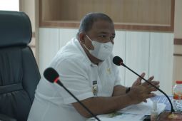 Bupati Langkat anggarkan dana pembelian lahan pengembangan wisata Bahorok dan Tangkahan