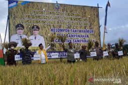 Kotabaru Regent lauds demfarm succeeds in Sampanahan Village