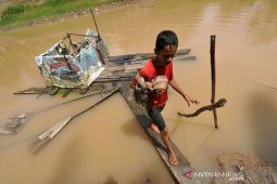 Menyoroti misteri merkuri