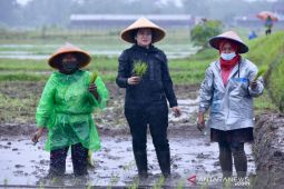 Ketua DPR dukung munculnya banyak  petani milenial