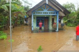 Jumlah warga terdampak banjir di Jember bertambah menjadi 1.294 KK