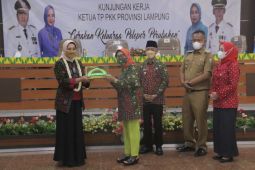 Ketua TP-PKK Provinsi Lampung kunjungan ke Kabupaten Pringsewu