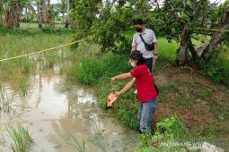 Penemuan mayat pelajar dipersawahan