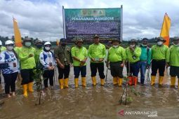 Penanaman mangrove di Sukamara ditargetkan 500 hektare pada 2022