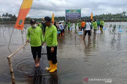 Lima Poktan di Sukamara ikut program penanaman mangrove dari KLHK