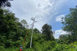 PLN melistriki dua desa di Kabupaten Sambas