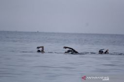 300 atlet ikuti Kejurda selam laut di Pantai Pasir Putih Situbondo