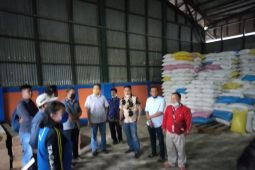 Stok beras di Sintang aman meski banjir besar melanda