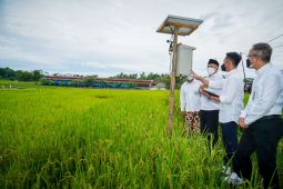 Ministry encouraging production of eco-friendly organic rice
