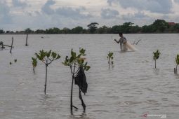 Seorang nelayan di Sukabumi diterkam buaya saat menjala ikan di Situ Habibi
