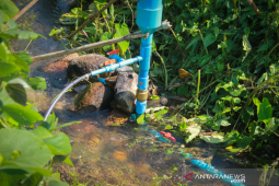 Dinas Pertanian Kabupaten OKU bantu petani penuhi kebutuhan air