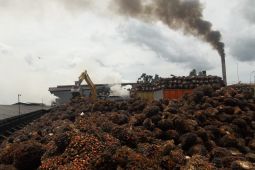 Legislator minta pabrik sawit di Mukomuko bangun jalan rabat beton
