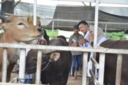 Norwegia tertarik program "Desa Laboratorium Terpadu" Unja