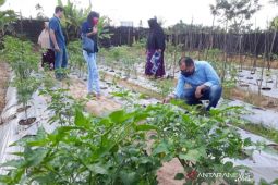 Dinas Ketahanan Pangan Kukar Monev penerima manfaat P2L