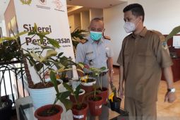 Pemkab Kediri  fasilitasi pembudidaya tanaman hias untuk ekspor