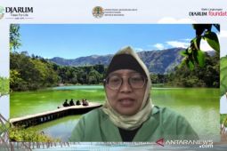 Indonesia perlu rehabilitasi 701 ribu hektare kawasan mangrove