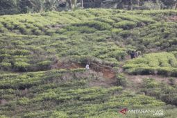 Pemkab Bogor ajak Pemkot Depok bersama atasi banjir