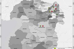Dua bayi di Sukabumi sembuh dari COVID-19