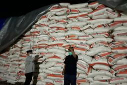 Stok pupuk di Situbondo mencukupi hingga akhir 2021