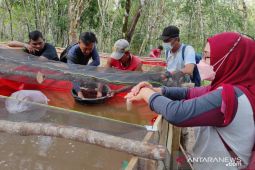 Diskannak Kabupaten OKU tebar 8.000 benih ikan lele