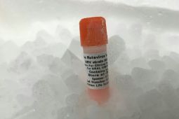 Imunisasi nasional Rotavirus digelar 15 Agustus 2023