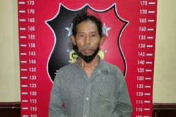 Siswi SD di Deliserdang diperkosa paman, Kasatrekrim bilang motif pelaku karena sayang