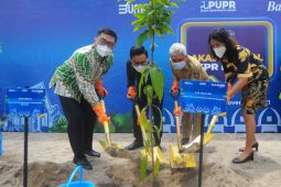 BTN dukung pembangunan perumahan ramah lingkungan