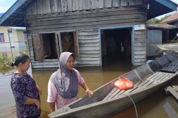 BPBD Kapuas Hulu sebut tinggi banjir di Selimbau dan Batang Lupar meningkat
