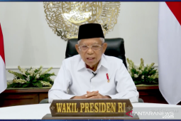 Investasi di bidang gizi adalah "smart investment", sebut wapres