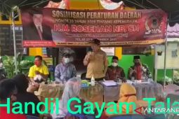 "Julak Rose" ajak pemuda menjadi pelopor pembangunan