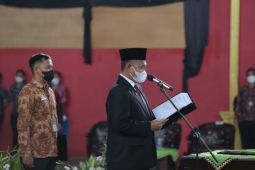 Wabup Pringsewu lantik tenaga fungsional